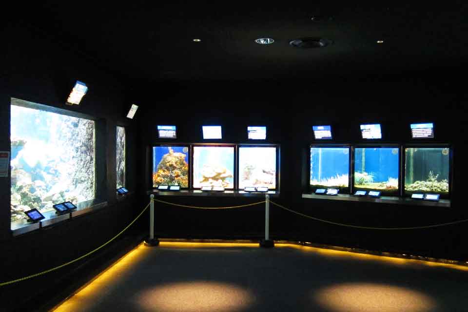 串本海中公園の水族館