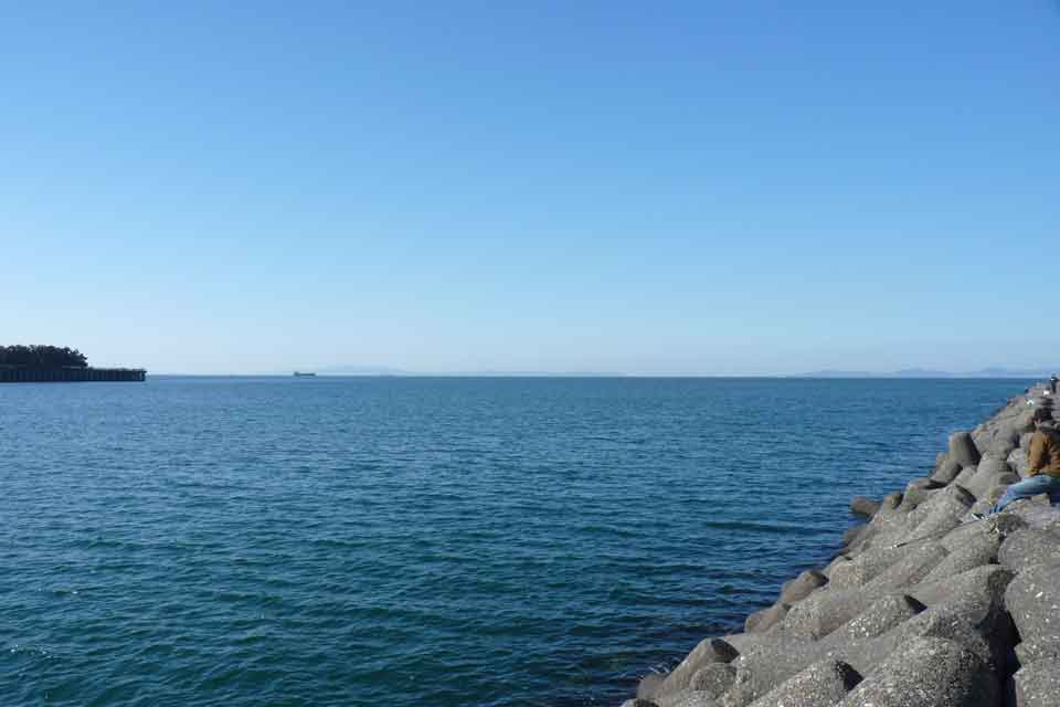 マイサードプレイス