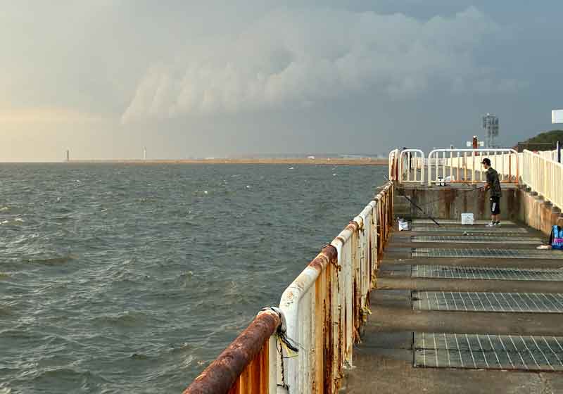 咲洲の上に積乱雲