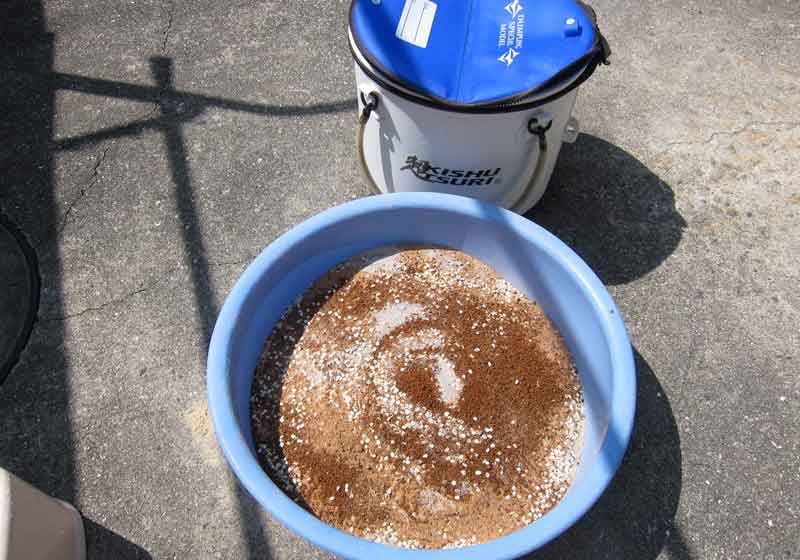 紀州釣りのヌカ団子