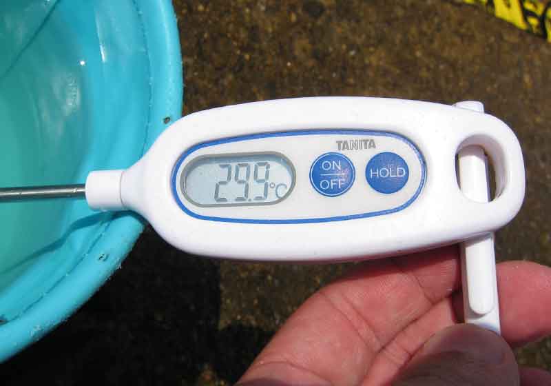 水温は29.9度