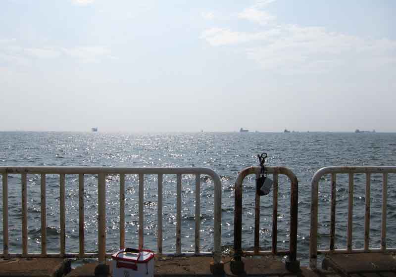 大阪南港魚釣り園護岸