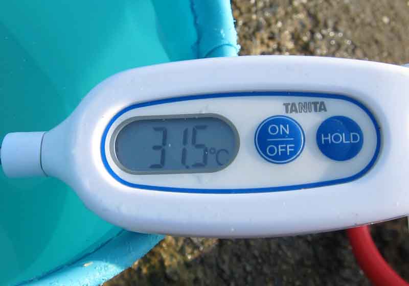 水温は31.5度