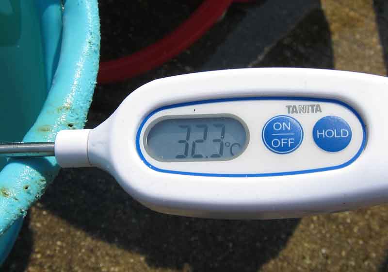 水温は32.3度