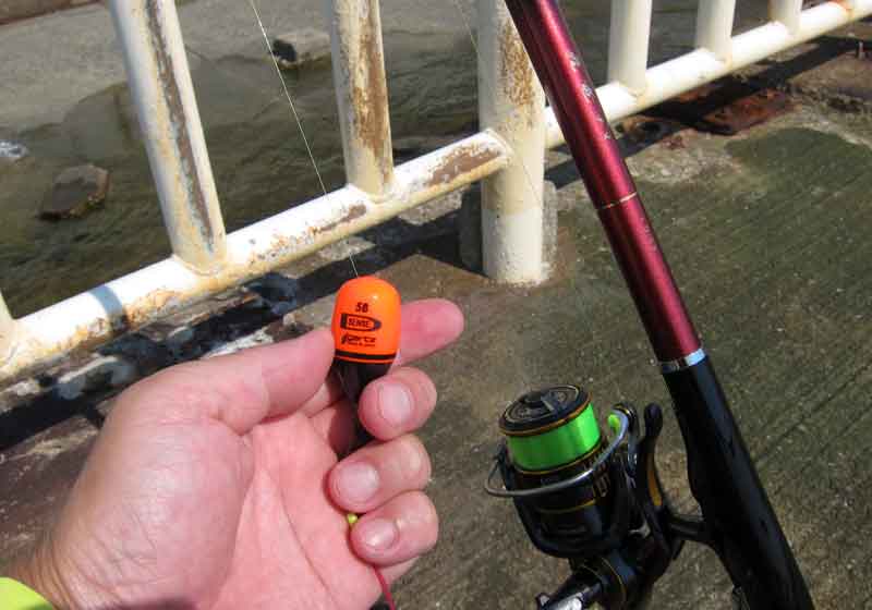 飛竜チヌとラグザス、D-SENSE