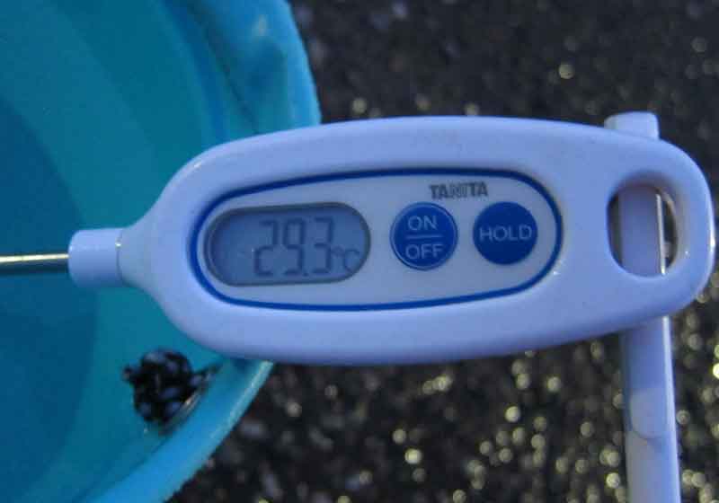 水温は29.3度
