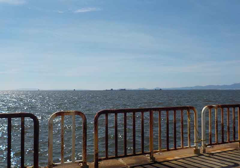 大阪南港魚釣り園護岸