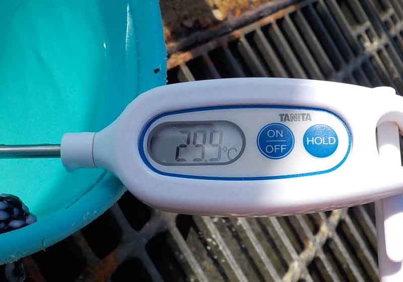 水温は29.9度