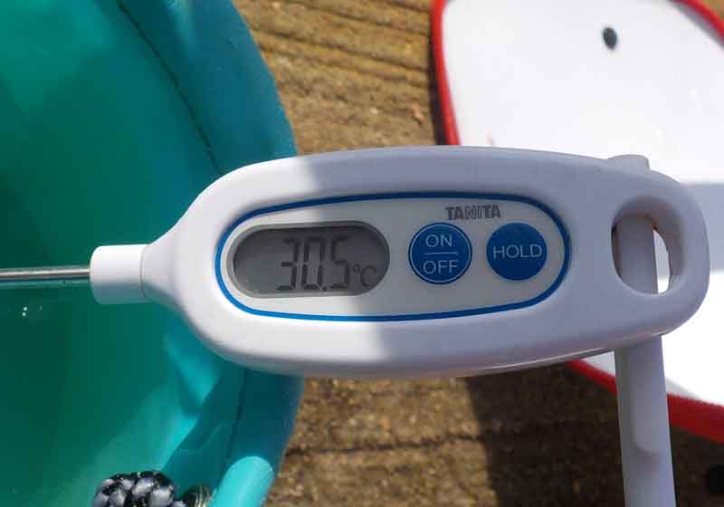 水温は30.5度
