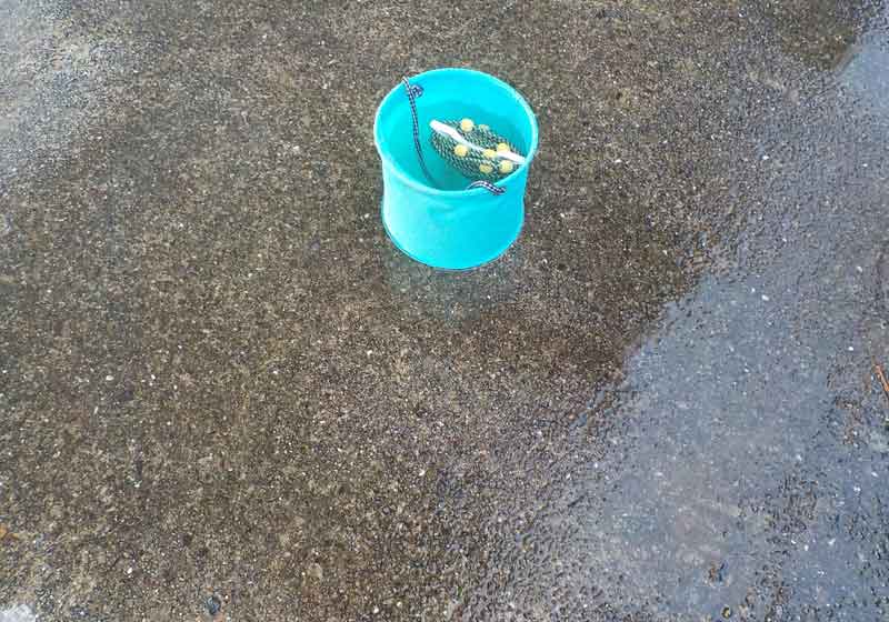 釣り場はきれいに