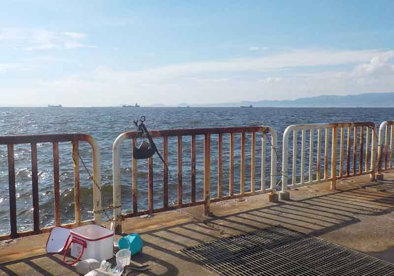 大阪南港魚釣り園護岸
