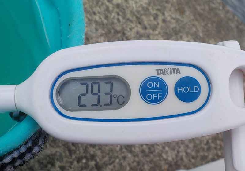 水温は29.3度