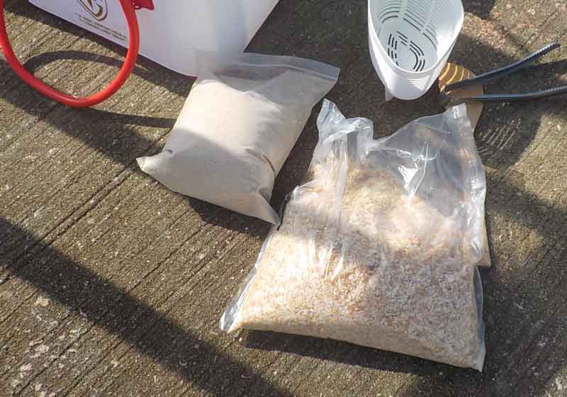 撒き餌はパン粉とヌカ