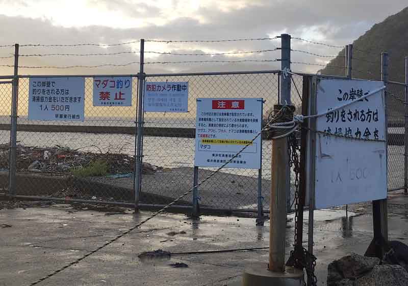 早瀬漁港は釣り有料です