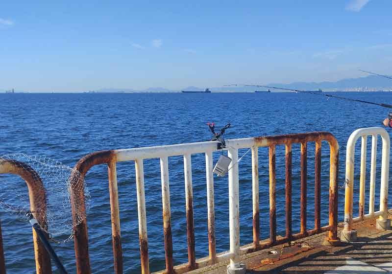 大阪南港魚釣り園護岸