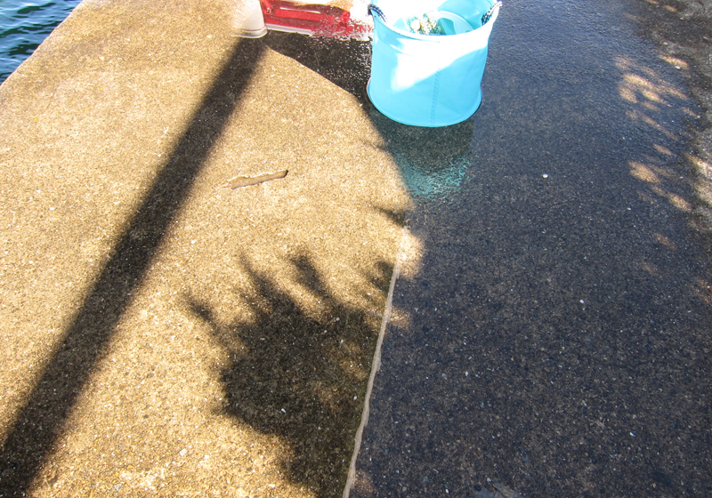 釣り場はきれいに