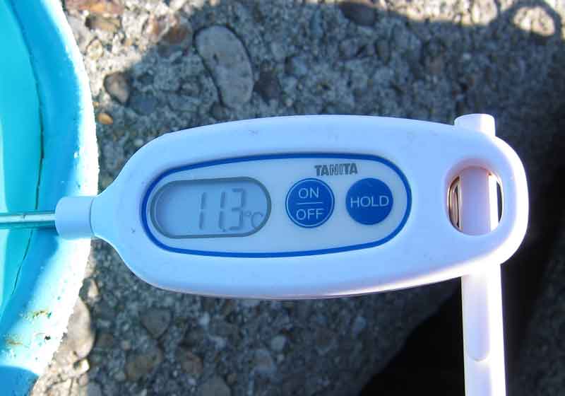 水温は11.3度