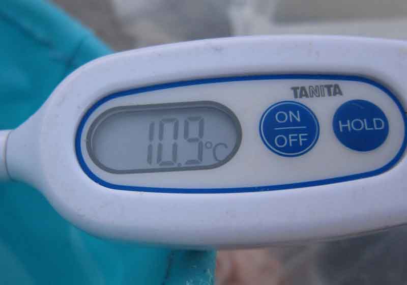 水温は10.9度